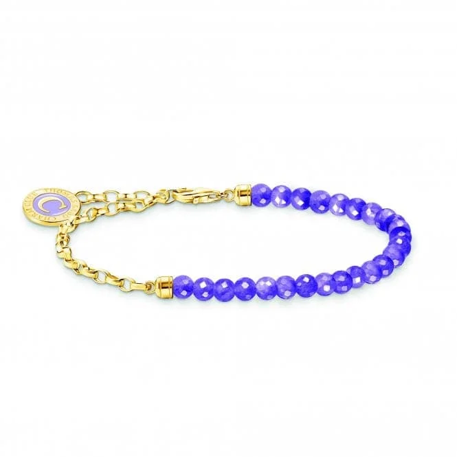 charm bracelet with meaningful stones-Charmista Violet Sterling Silver Gold Plated Enamel Bracelet A2130-427-13